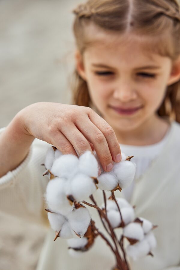 mediven cotton