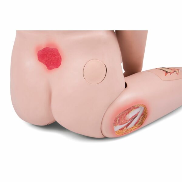 Patient Care Manikin PRO - Image 4