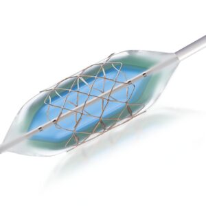 Aortan stentti, 3,9cm Ø16/40 1 kpl