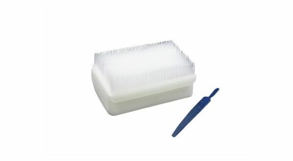 Scrub Brush -harja kirurgiseen käsienpesuun, ster.
