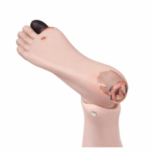 Patient Care Manikin Basic/Pro, sääriosa oikea Diabetes