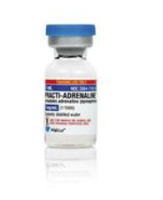 Practi-Adrenaline 1mg/1mL harjoituslagenula