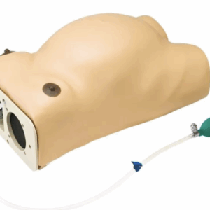 Raskaus ja sikiön syke simulaattori