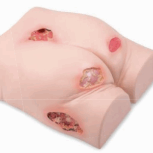 Painehaavasimulaattori "Decubitus Dan"