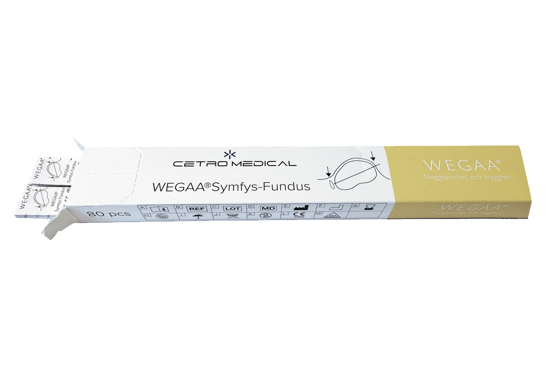 WEGAA Symfyysi-fundusmitta, kk